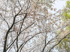 -白塘生态植物园