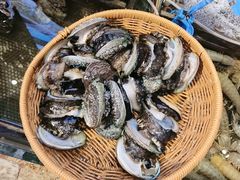 -崂山印象·青岛·海鲜渔家菜