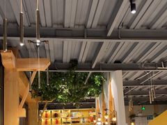 -金塔傣乡·云南民族特色菜·傣味手抓饭(金瓦路店)