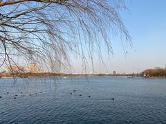 -济南大明湖景区