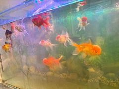 -米兰西点(新华路店)