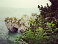 android_upload_pic-大连金石滩滨海国家地质公园