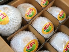 -上海龙吴水胜海发市场