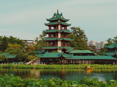 -桂湖森林公园