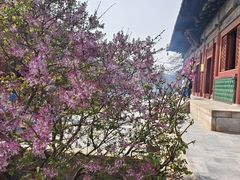 -王歘歘·chuǎ火锅(五道营店)