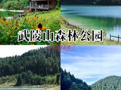 -武陵山森林公园