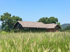 -良渚古城遗址公园