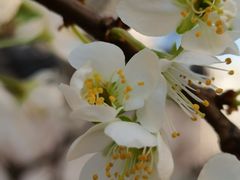 -天津东丽湖风景区