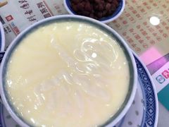 招牌双皮奶-捷信牛奶甜品世家(柳巷店)