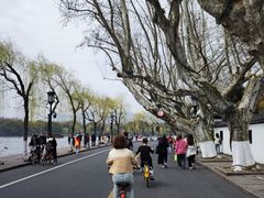 -楼外楼(西湖景区孤山路店)