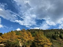 -东白山