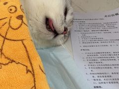 -恒幸动物医院·急重症转诊中心·神经内外科·CT核磁