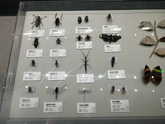 -四川大学博物馆