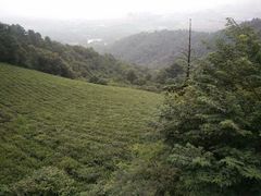 -敬亭山风景名胜区