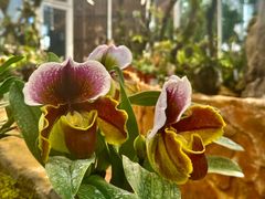 -国家植物园南园