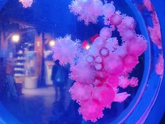 -太平洋海底世界