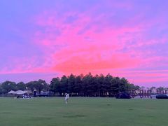 -春花秋色城市公园