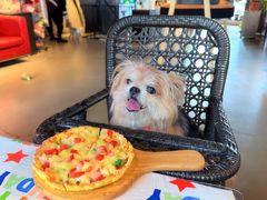 -百好乐宠物友好餐厅(朝外大街店)