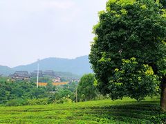 -敬亭山风景名胜区