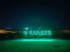 -三亚亚龙湾红树林度假酒店