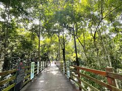 -野象谷景区