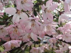 -西安交通大学(雁塔校区)