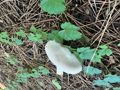 -沈阳辉山风景区