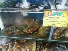 龙虾皇帝-蚝专家(北滘店)