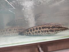 -永辉超市(世纪金源店)