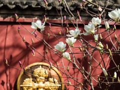 -西安市广仁寺