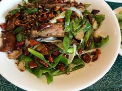 连山肘子-代木儿回锅肉