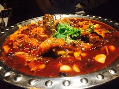 -Local泰莲庭(虹鳟鱼店)