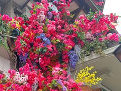 -思南公馆商业街