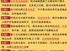 -武汉天乐社武宫剧场