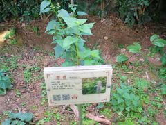 -广州神农草堂中医药博物馆