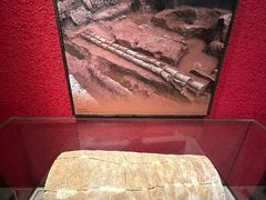 -南越王博物院(王宫展区)