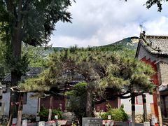 -泰山风景名胜区-普照寺