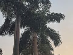 -广州市白云山风景名胜区