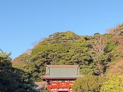 -鹤冈八幡宫