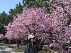 -北京鹫峰国家森林公园