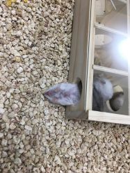 -未来动物城主题公园(正弘城店)