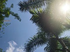 -广州都喜泰丽温泉度假酒店