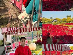 -广东花都香草世界旅游度假区