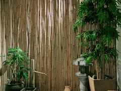 -锦初·禅意4K影院式足道·新中式SPA(茂业天地店)