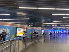 -大望路(地铁站)