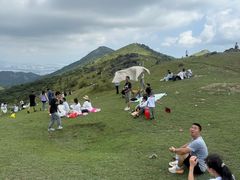 -大姆山草场