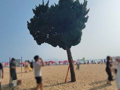 -青岛第一海水浴场