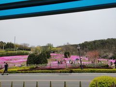 -棒棰岛宾馆景区