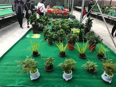 -西部兰花园生态园