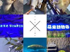 -梦幻海洋王国(吾悦广场张家港店)